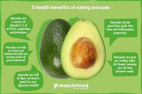 The Incredible Health Benefits of Eating Avocado